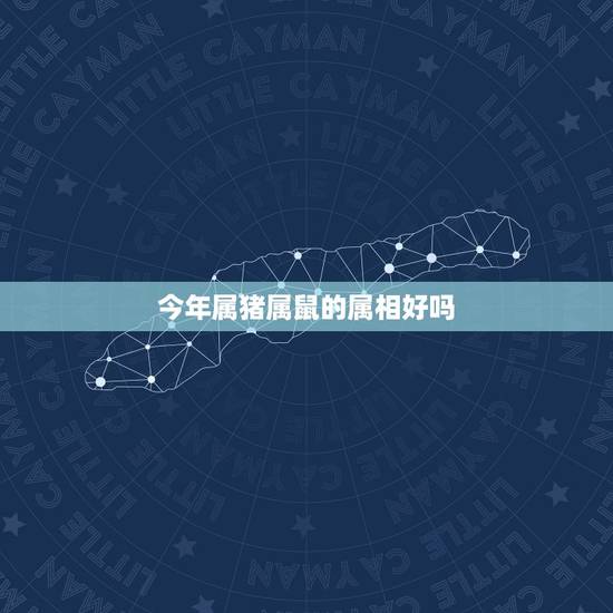 今年属猪属鼠的属相好吗，属鼠和属猪的相配吗