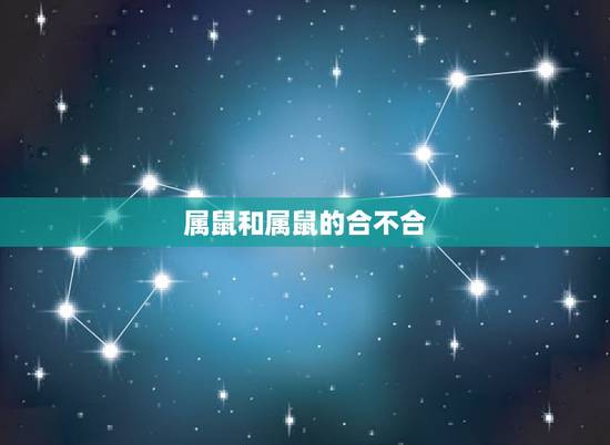属鼠和属鼠的合不合,男鼠女鼠1996能婚配吗 属鼠和属鼠的合不合,男鼠女鼠1996能婚配吗