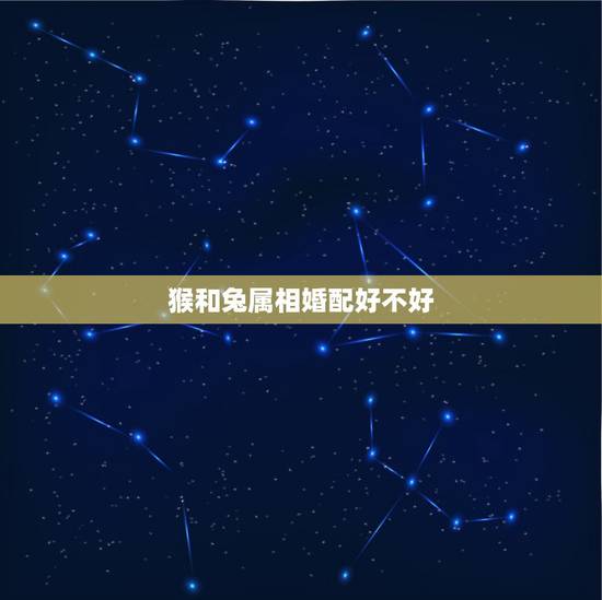 猴和兔属相婚配好不好，属猴和属兔的合财吗