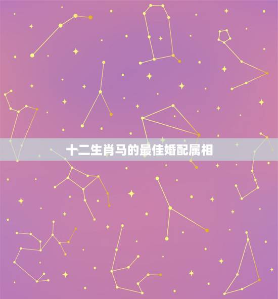 十二生肖马的最佳婚配属相,属马的最佳婚配属相是什么 十二生肖马的最佳婚配属相,属马的最佳婚配属相是什么