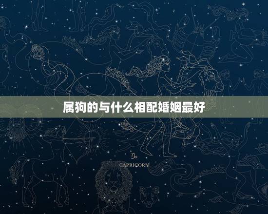属狗的与什么相配婚姻最好，属狗配什么属相最好