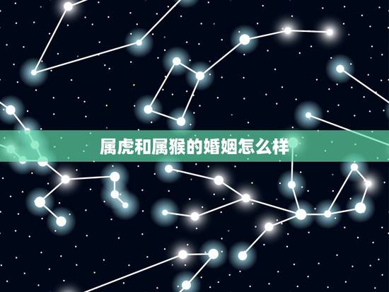 属虎和属猴的婚姻怎么样，属虎和属猴的婚姻怎么样
