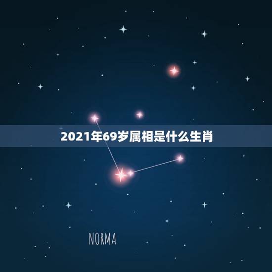 2021年69岁属相是什么生肖，2021年今天属什么生肖？