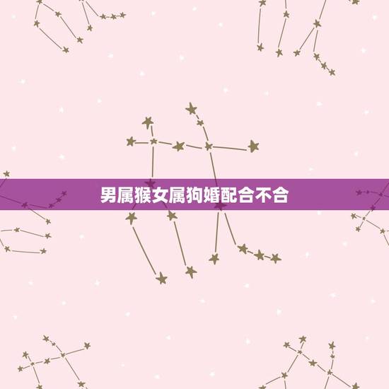 男属猴女属狗婚配合不合(看看十二生肖的婚姻匹配指南) 男属猴女属狗婚配合不合(看看十二生肖的婚姻匹配指南)