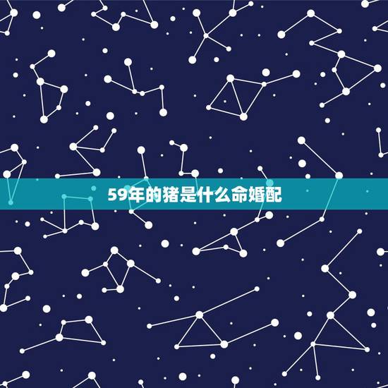 59年的猪是什么命婚配,59年属猪的属相婚配表 59年的猪是什么命婚配,59年属猪的属相婚配表