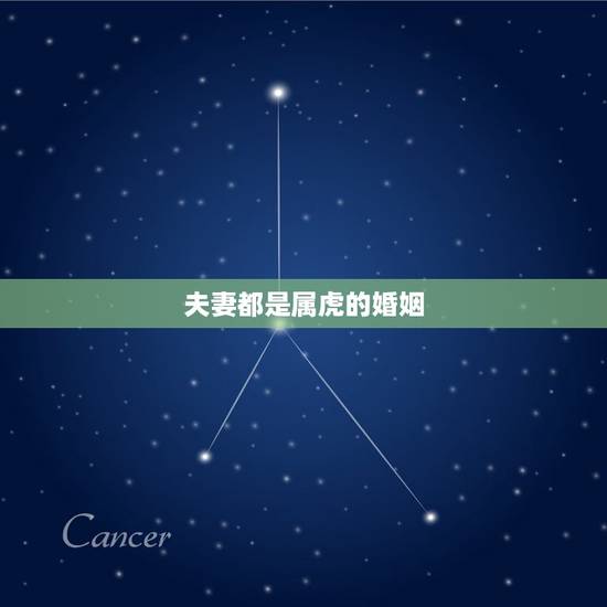 夫妻都是属虎的婚姻,98两个属虎的能结婚吗 夫妻都是属虎的婚姻,98两个属虎的能结婚吗