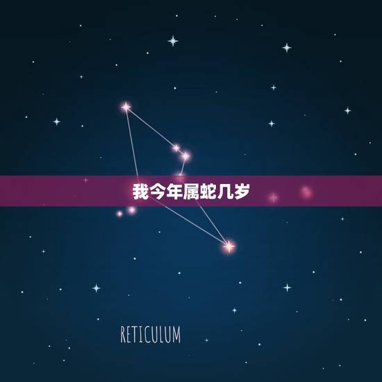 我今年属蛇几岁,2022 年属蛇多少岁 我今年属蛇几岁,2022 年属蛇多少岁