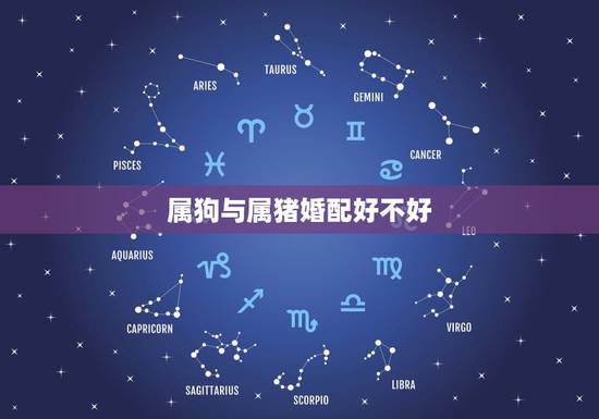 属狗与属猪婚配好不好 男猪女狗能过一辈子吗 属狗与属猪婚配好不好 男猪女狗能过一辈子吗
