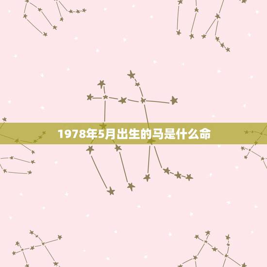 1978年5月出生的马是什么命,属马1978年5月20生2015是什么 1978年5月出生的马是什么命,属马1978年5月20生2015是什么
