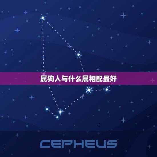 属狗人与什么属相配最好,属狗配什么属相最好 属狗人与什么属相配最好,属狗配什么属相最好