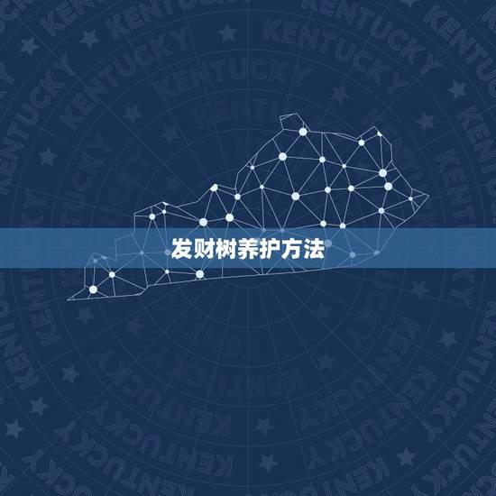 发财树养护方法,发财树的养殖方法和注意事项分别是? 发财树养护方法,发财树的养殖方法和注意事项分别是?