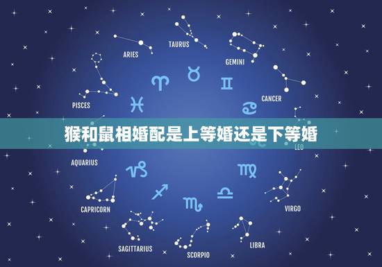 猴和鼠相婚配是上等婚还是下等婚，属猴的属相婚配表