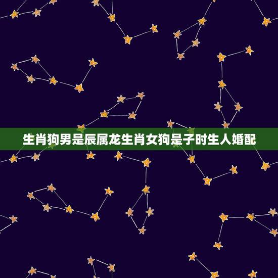 生肖狗男是辰属龙生肖女狗是子时生人婚配,生肖属狗的能与哪些属相婚配 生肖狗男是辰属龙生肖女狗是子时生人婚配,生肖属狗的能与哪些属相婚配