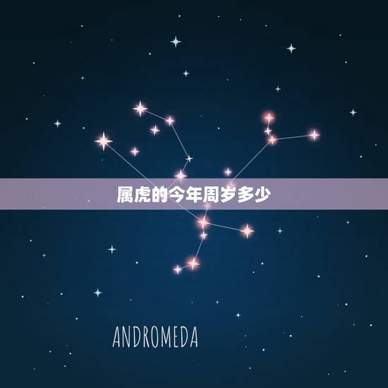 属虎的今年周岁多少,属虎的今年多大2022 年 属虎的今年周岁多少,属虎的今年多大2022 年