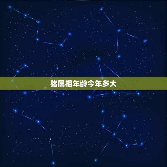 猪属相年龄今年多大，蛇属相年龄今年多大