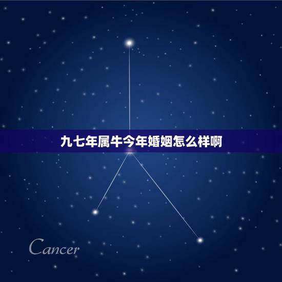 九七年属牛今年婚姻怎么样啊，九七年属牛的跟九一年属羊的婚姻真的不好吗