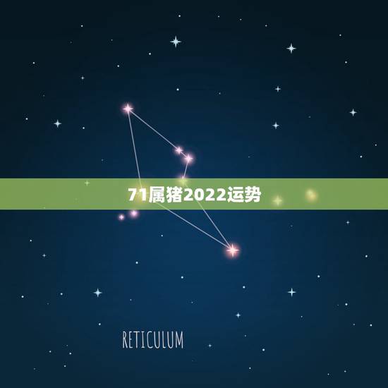 71属猪2022运势，71年属猪2021年运势及运程每月运程