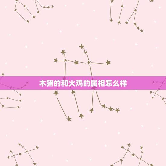 木猪的和火鸡的属相怎么样，属相婚配属鸡和属猪相配好吗