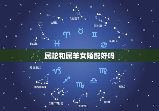 属蛇和属羊女婚配好吗,属蛇和属羊的配吗 属蛇和属羊女婚配好吗,属蛇和属羊的配吗