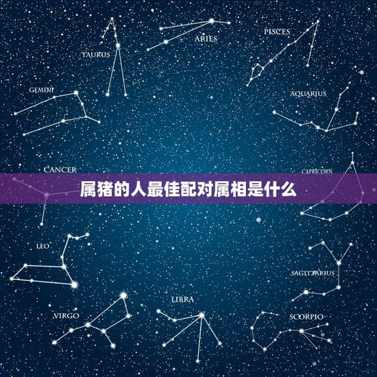 属猪的人最佳配对属相是什么，猪和什么属相最配