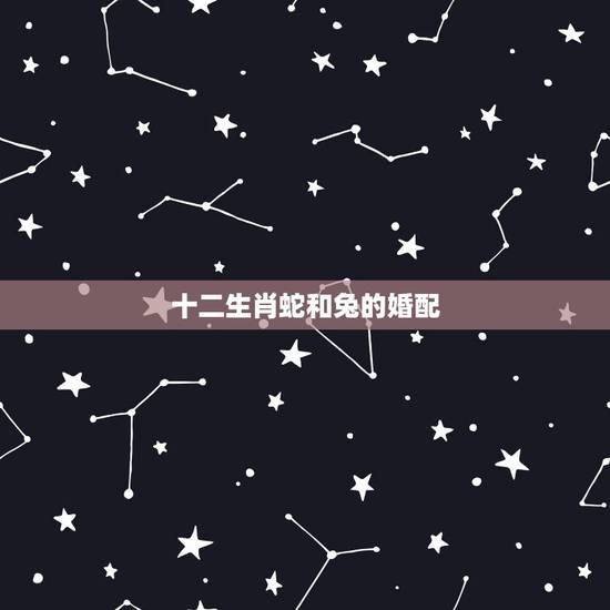 十二生肖蛇和兔的婚配,兔和蛇配吗 十二生肖蛇和兔的婚配,兔和蛇配吗