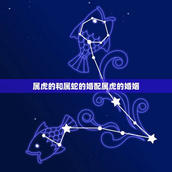 属虎的和属蛇的婚配属虎的婚姻,属虎和属蛇相配吗?可以结婚吗? 属虎的和属蛇的婚配属虎的婚姻,属虎和属蛇相配吗?可以结婚吗?