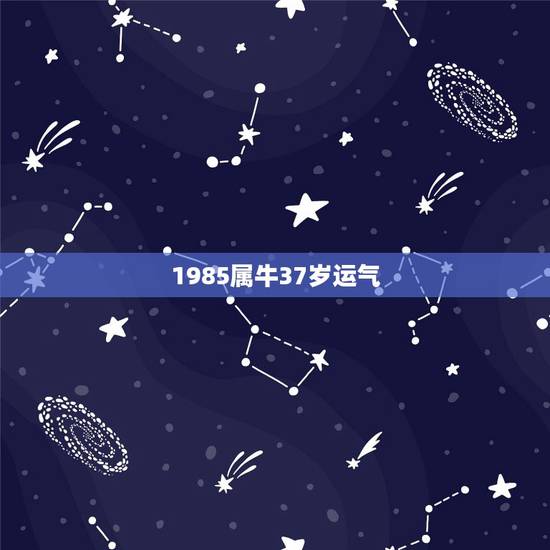 1985属牛37岁运气，85年属牛的灾难年龄
