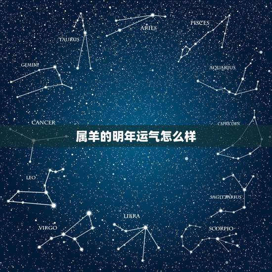 属羊的明年运气怎么样，属羊今年运程怎样