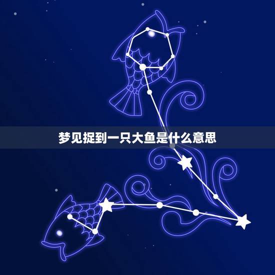 梦见捉到一只大鱼是什么意思，昨晚梦见自己抓到了一条大鱼，那条大鱼还会说