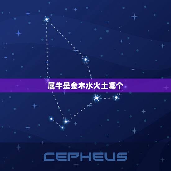 属牛是金木水火土哪个，属牛五行属什么