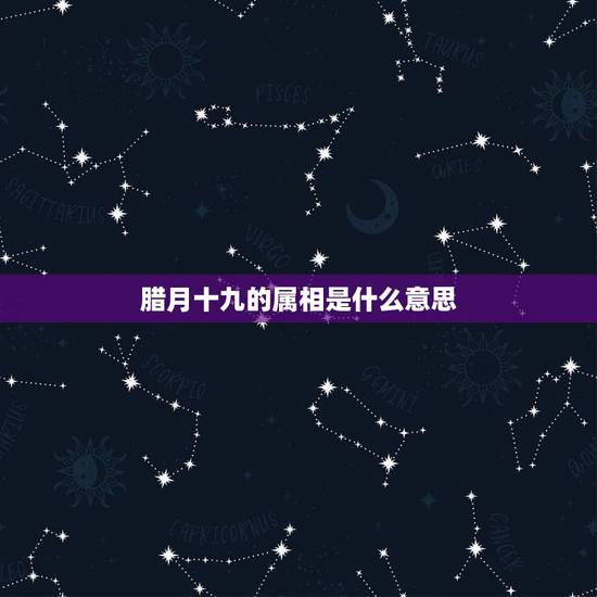 腊月十九的属相是什么意思，94年腊月19生日是什么属相