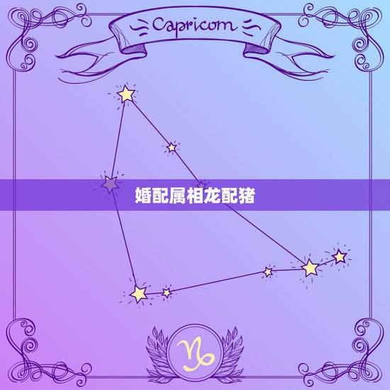 婚配属相龙配猪,属相婚配:男属龙和女属猪相配吗 婚配属相龙配猪,属相婚配:男属龙和女属猪相配吗