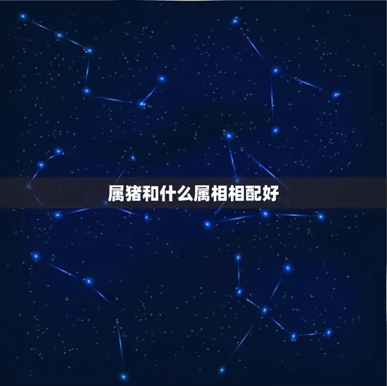 属猪和什么属相相配好 属猪和什么属相相配好