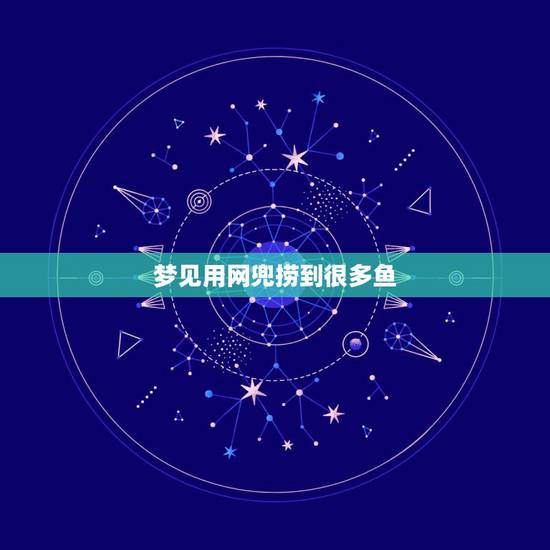 梦见用网兜捞到很多鱼，梦见用网捕了很多鱼，这是什么征兆啊