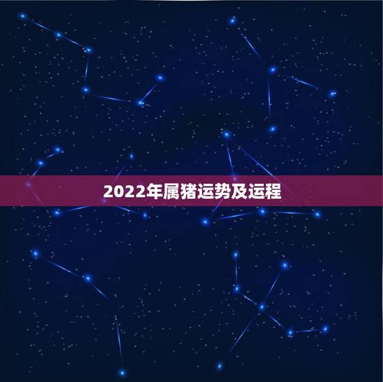 2022年属猪运势及运程,2022年12生肖运势解析 2022年属猪运势及运程,2022年12生肖运势解析