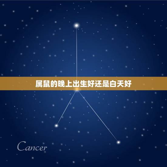 属鼠的晚上出生好还是白天好，属鼠的几点出生最好