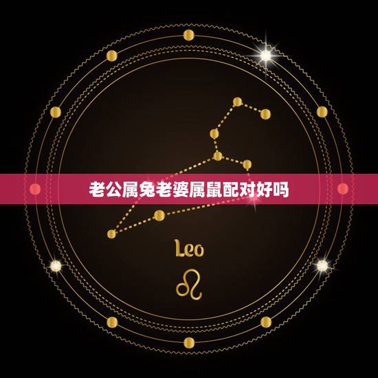 老公属兔老婆属鼠配对好吗，72年属鼠48岁有一灾2022