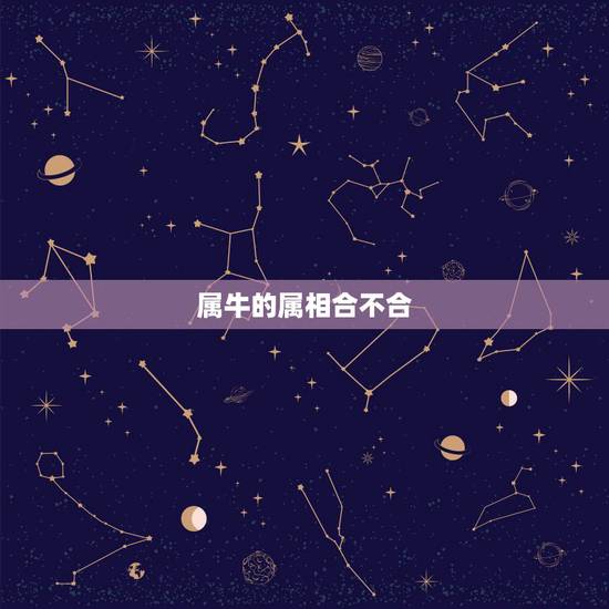 属牛的属相合不合,1997属牛的婚姻和命运 属牛的属相合不合,1997属牛的婚姻和命运