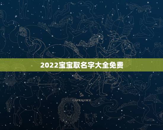 2022宝宝取名字大全免费，小宝宝取名