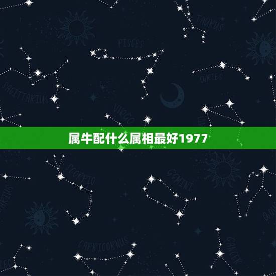 属牛配什么属相最好1977，属牛和什么属相最相配 详细