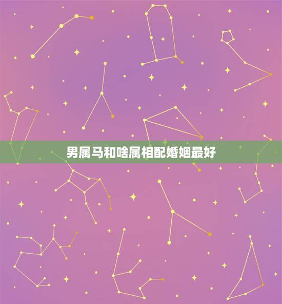 男属马和啥属相配婚姻最好,属马的和什么属相最配 男属马和啥属相配婚姻最好,属马的和什么属相最配