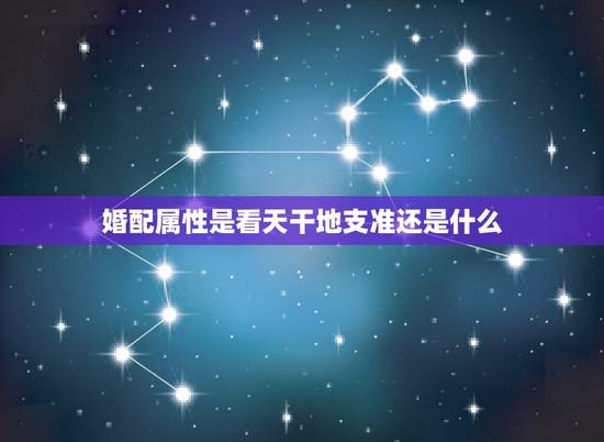 婚配属性是看天干地支准还是什么，属相婚配和五行婚配那个更准一点？请懂行
