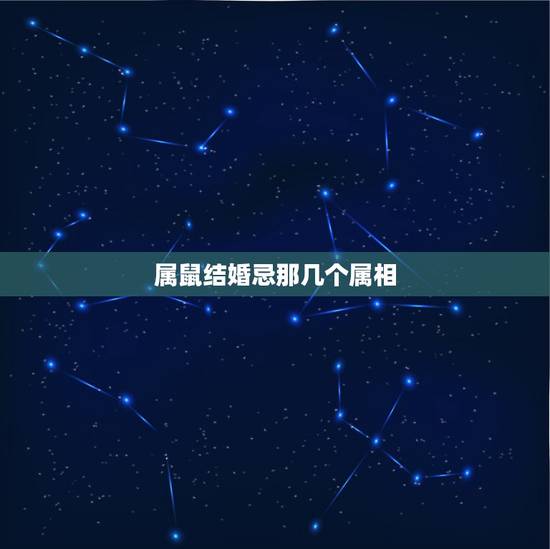 属鼠结婚忌那几个属相,属鼠与属龙结婚忌生肖 属鼠结婚忌那几个属相,属鼠与属龙结婚忌生肖