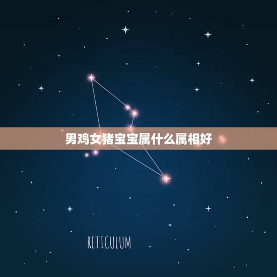 男鸡女猪宝宝属什么属相好,男属鸡女属猪生个什么属相的孩子最好? 男鸡女猪宝宝属什么属相好,男属鸡女属猪生个什么属相的孩子最好?