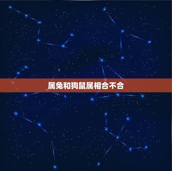 属兔和狗鼠属相合不合，属狗和属兔合吗？