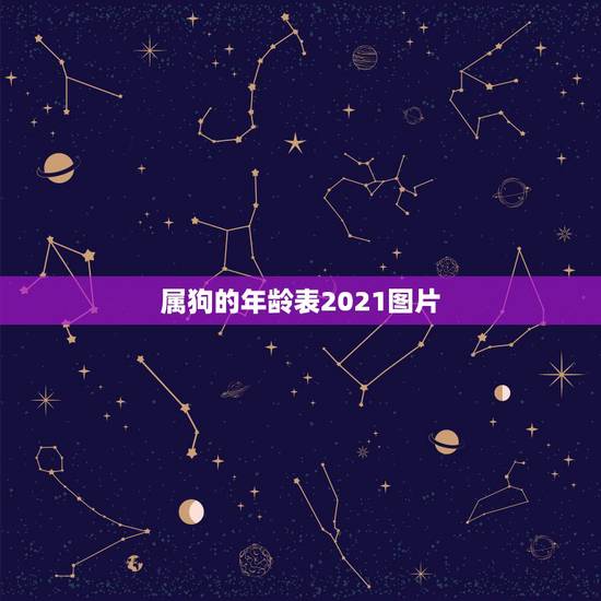 属狗的年龄表2021图片，生肖年龄对照表2021