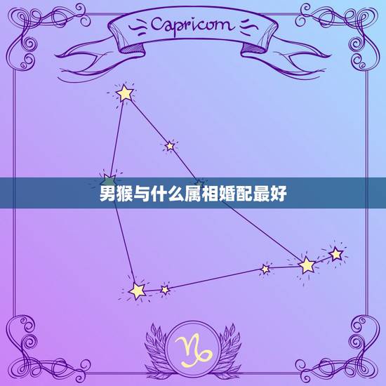 男猴与什么属相婚配最好，男性属猴与什么属相相配
