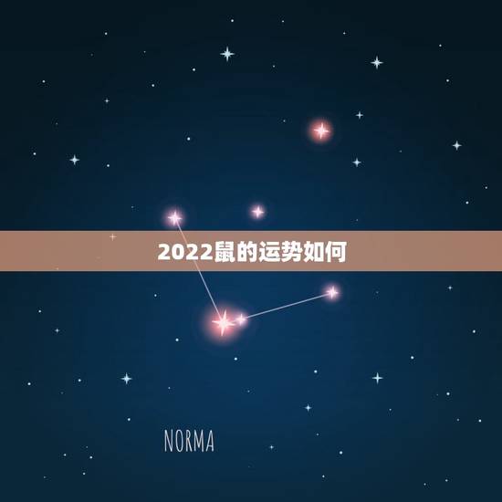 2022鼠的运势如何，2021属鼠人全年运势女