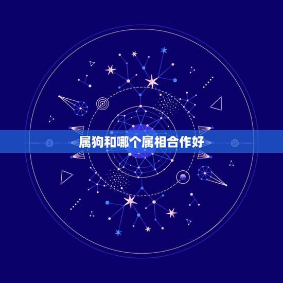 属狗和哪个属相合作好,属狗的人明年和什么属相的合作最好 属狗和哪个属相合作好,属狗的人明年和什么属相的合作最好