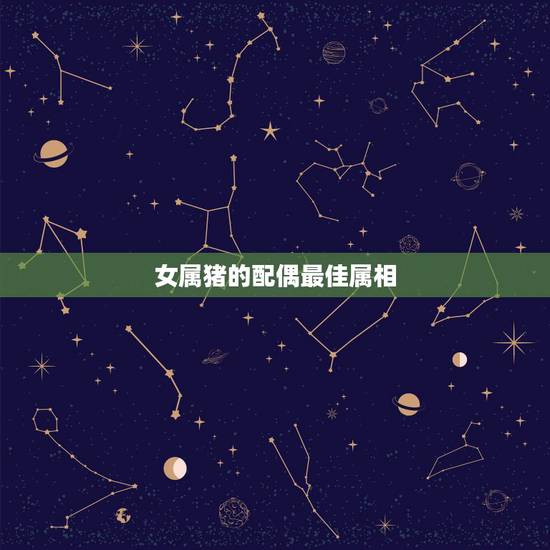 女属猪的配偶最佳属相,男属鸡的和女属猪的适合做夫妻吗 女属猪的配偶最佳属相,男属鸡的和女属猪的适合做夫妻吗